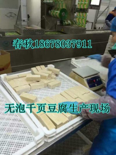 無(wú)泡千頁(yè)豆腐設(shè)備春秋技術(shù)免費(fèi)