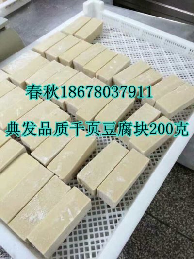 千頁(yè)豆腐無(wú)泡塊生產(chǎn)技術(shù)工藝真空去泡機(jī)