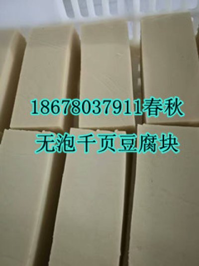 千頁(yè)豆腐無(wú)泡設(shè)備真空去泡機(jī)真空抽漿機(jī)春秋專