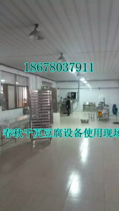 千頁(yè)豆腐設(shè)備高速斬漿機(jī)4500轉(zhuǎn)變頻調(diào)速成本低