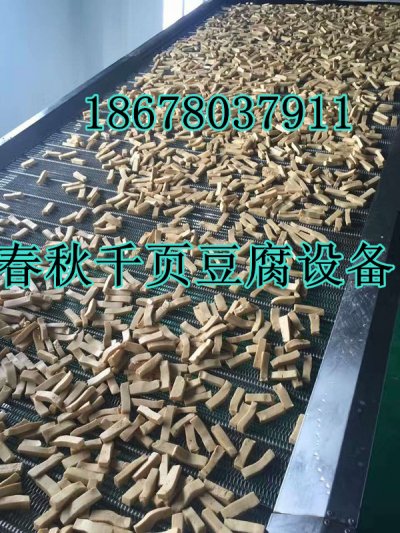 千頁(yè)豆腐塊片灘晾床,千頁(yè)豆腐干絲風(fēng)干設(shè)備