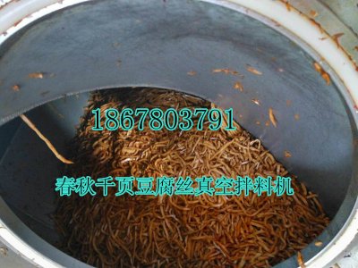 千頁(yè)豆腐黃金絲真空拌料機(jī)