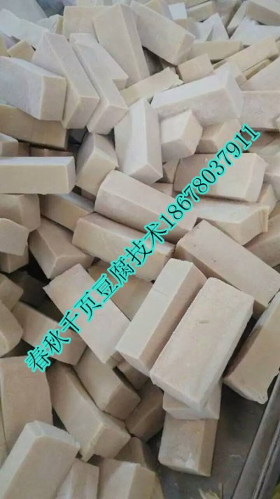 千頁(yè)豆腐真空抽漿機(jī)千頁(yè)豆腐去泡機(jī)春秋免費(fèi)技